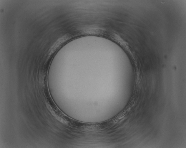 X0000062610106200601111019