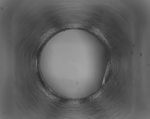 X0000062610110200601111018