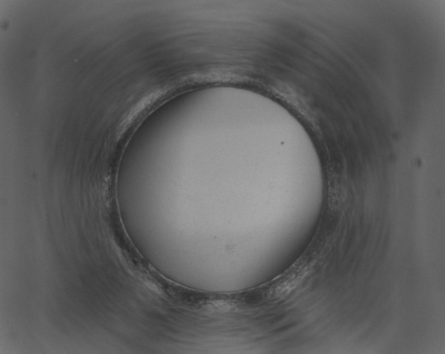 X0000062610111200601111018