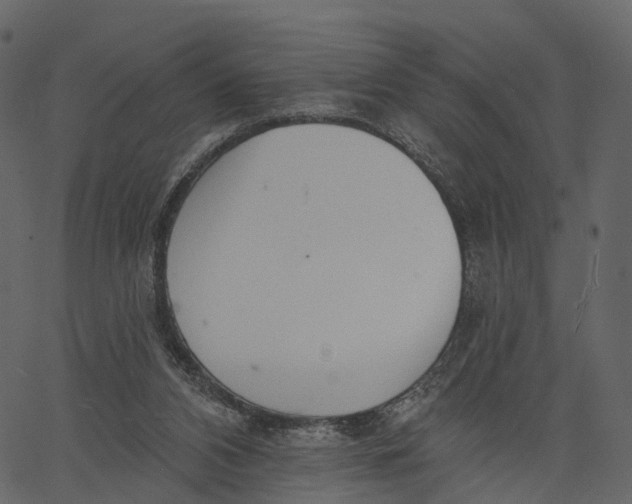 X0000062610112200601111018