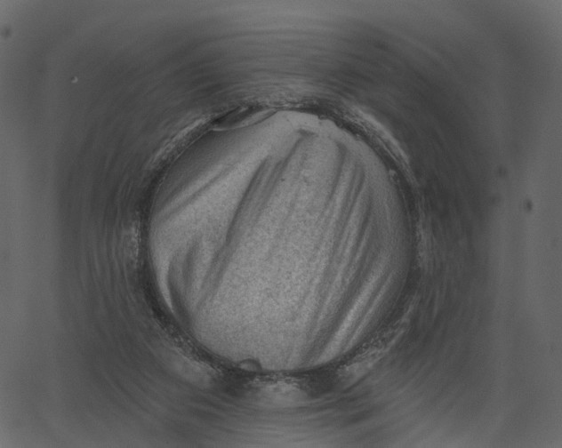 X0000062610113200601111018