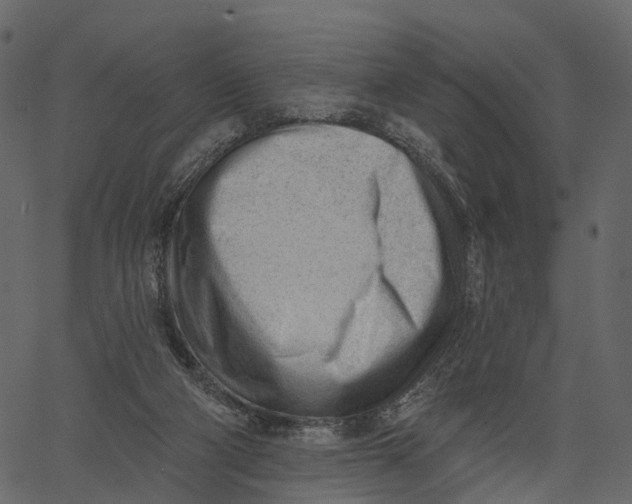 X0000062610114200601111018