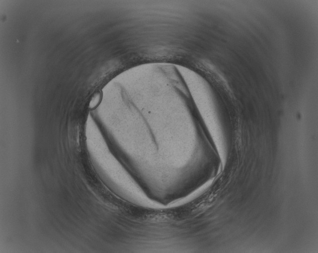 X0000062610115200601111018