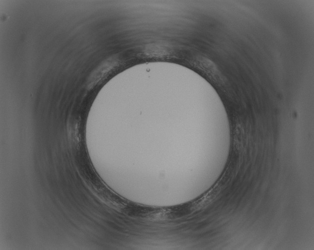 X0000062610116200601111018