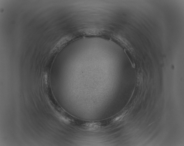 X0000062610117200601111018