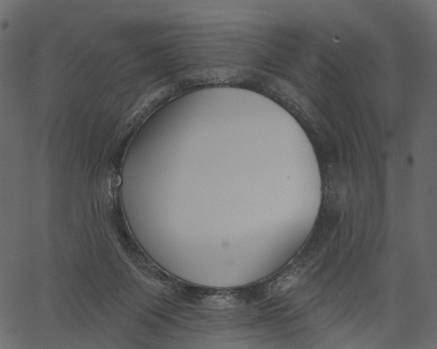 X0000062610119200601111018