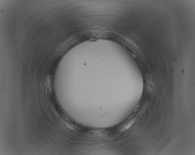 X0000062610121200601111018