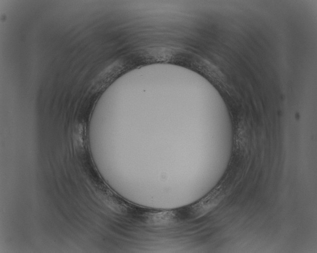 X0000062610122200601111018