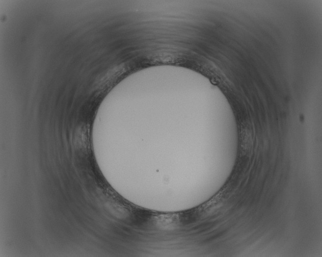 X0000062610126200601111018