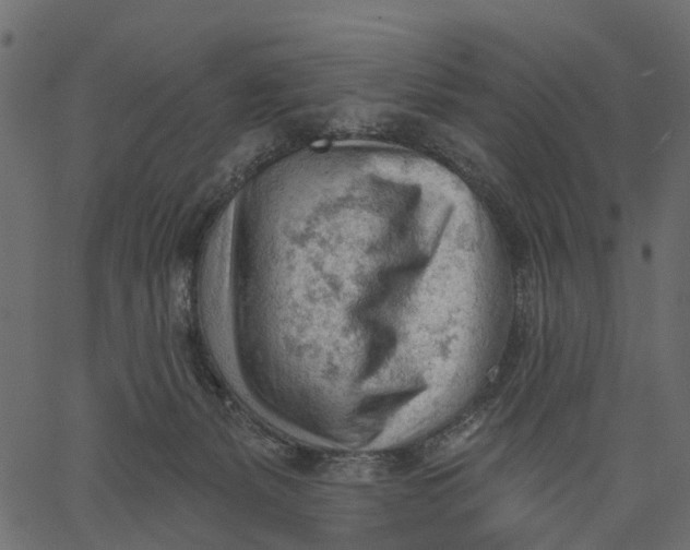 X0000062610127200601111018