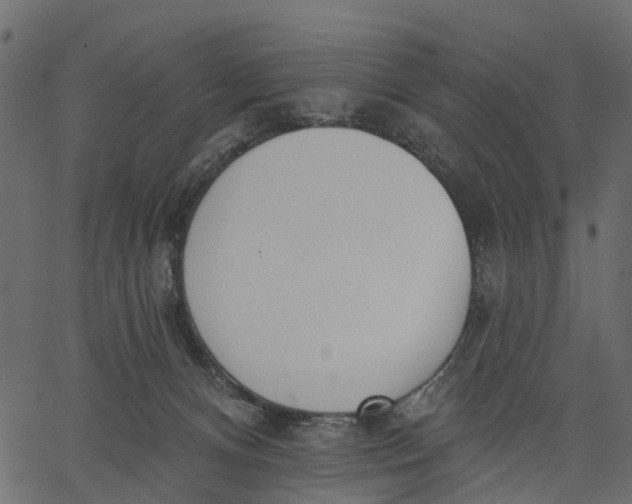 X0000062610128200601111018