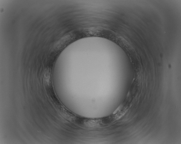 X0000062610129200601111018