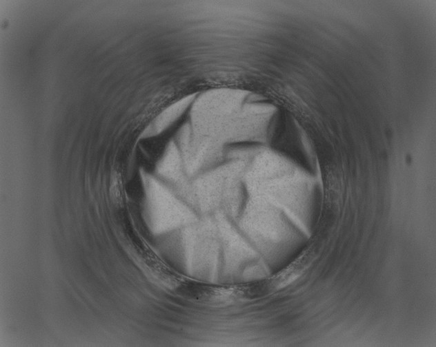 X0000062610130200601111018