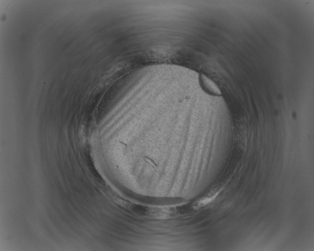 X0000062610131200601111018