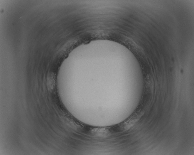 X0000062610133200601111018