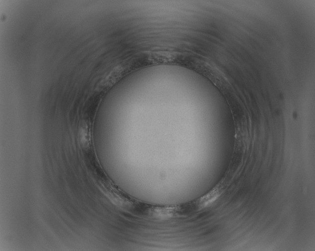 X0000062610134200601111018