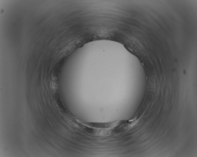 X0000062610135200601111018