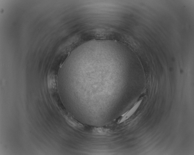 X0000062610137200601111018