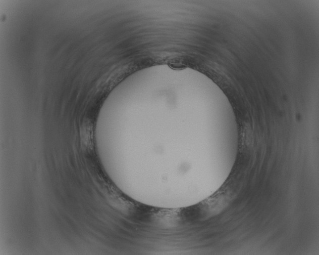 X0000062610138200601111018