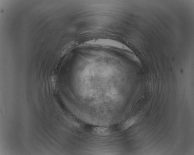 X0000062610139200601111018