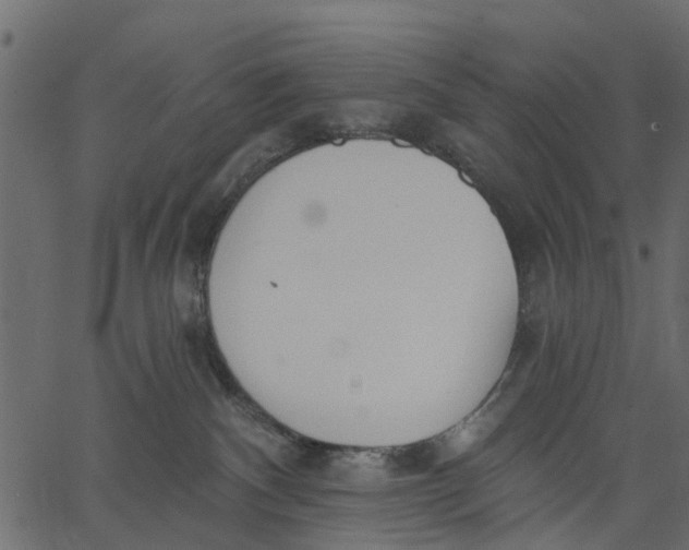 X0000062610140200601111018