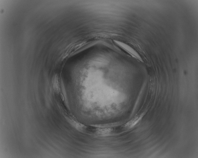 X0000062610143200601111018