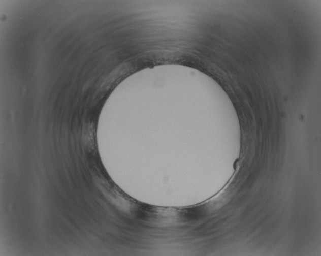 X0000062610144200601111018