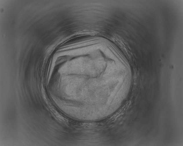 X0000062610145200601111017