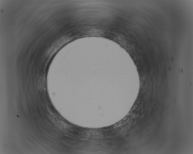 X0000062610146200601111017