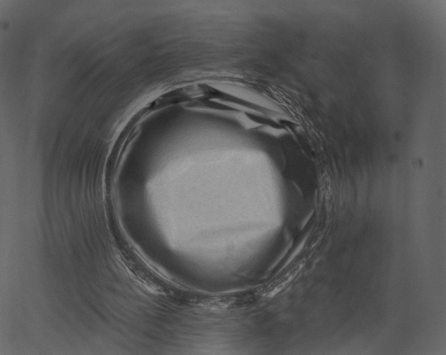 X0000062610148200601111017