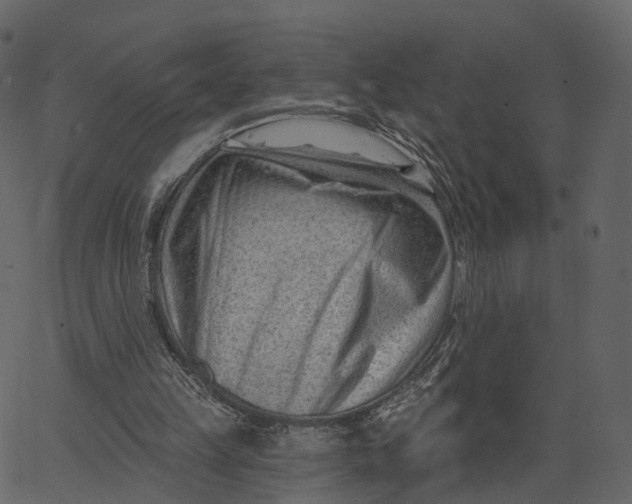 X0000062610149200601111017