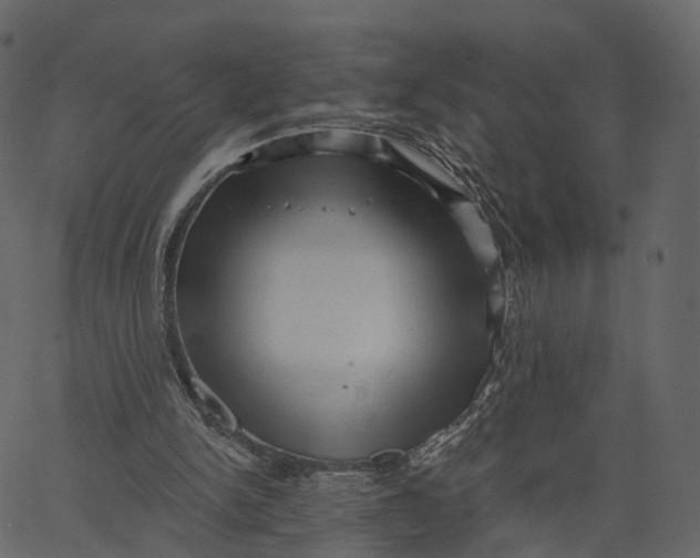 X0000062610150200601111017