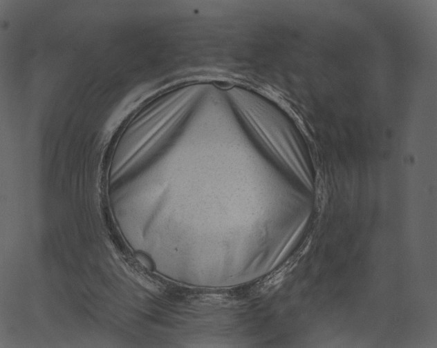 X0000062610151200601111017