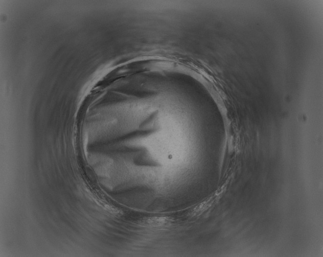 X0000062610152200601111017