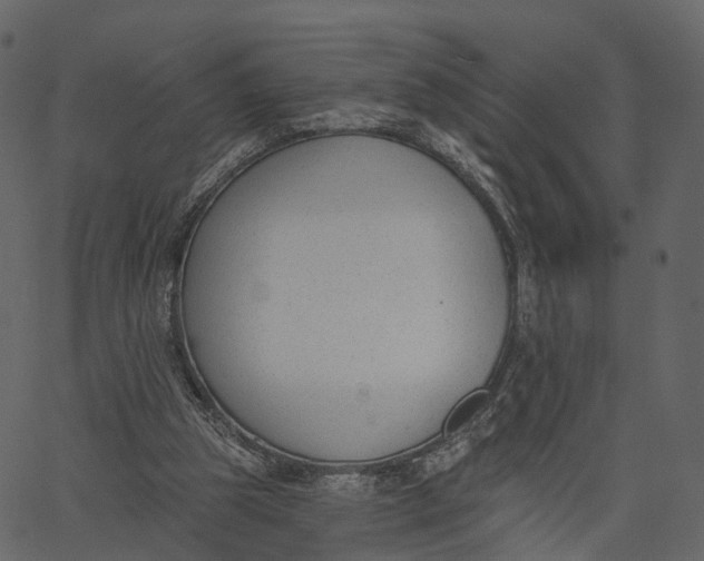 X0000062610153200601111017