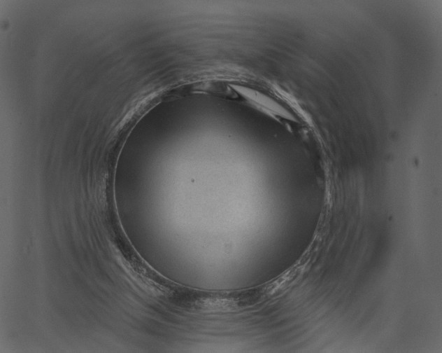 X0000062610154200601111017