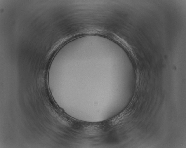 X0000062610155200601111017