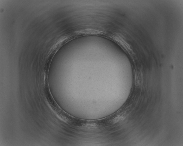 X0000062610157200601111017