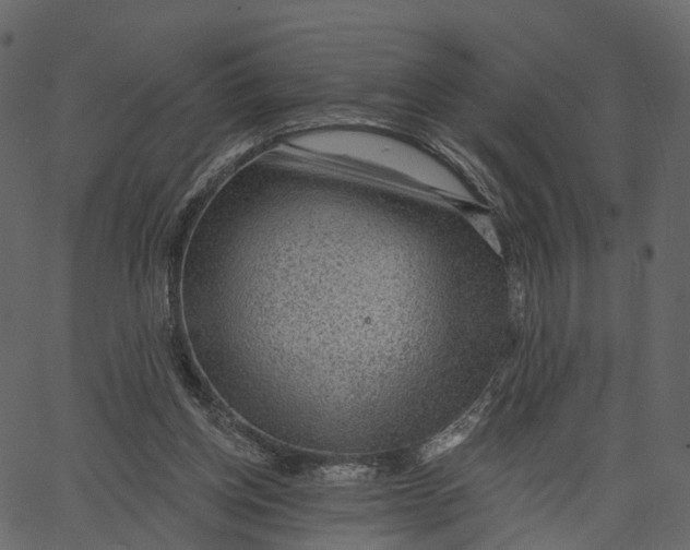 X0000062610158200601111017