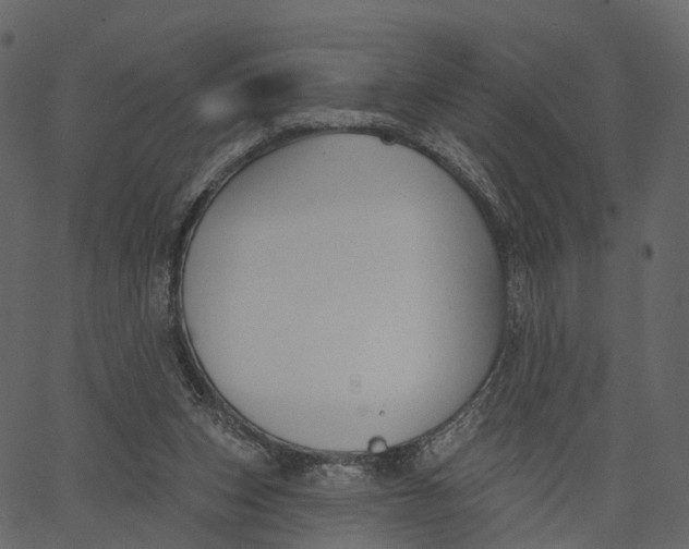 X0000062610159200601111017