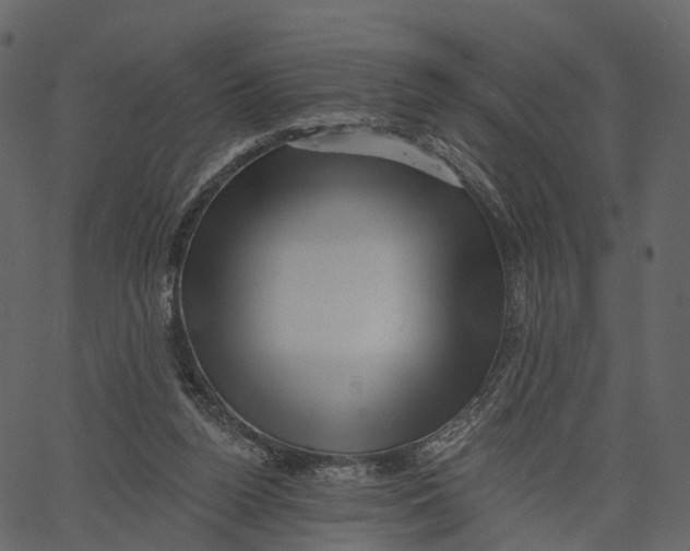 X0000062610160200601111017