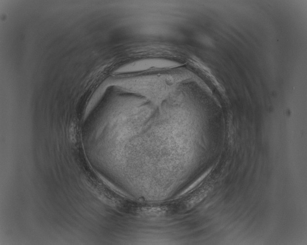 X0000062610161200601111017