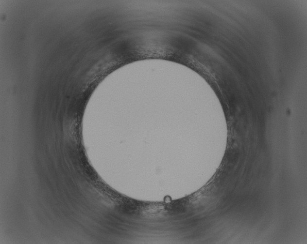 X0000062610162200601111017