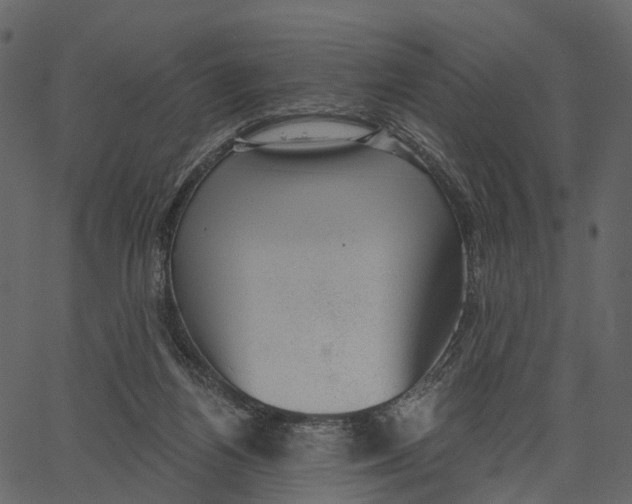 X0000062610164200601111017