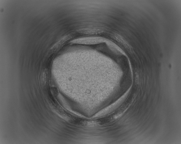 X0000062610165200601111017