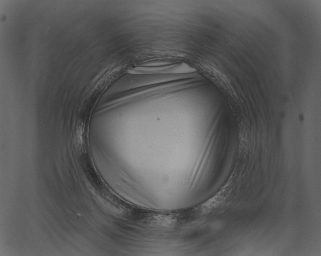 X0000062610166200601111017