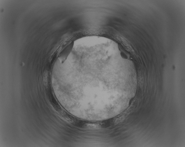 X0000062610167200601111017