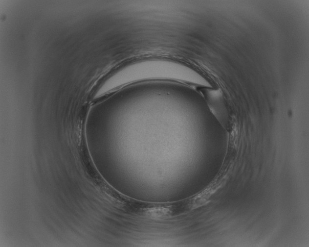 X0000062610168200601111017