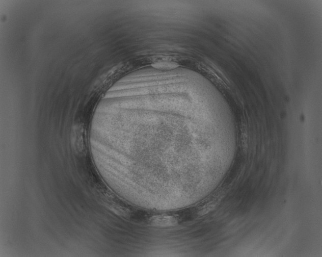 X0000062610169200601111017