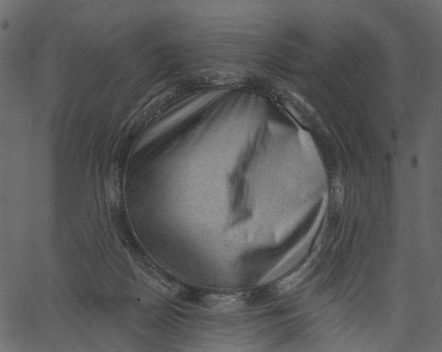 X0000062610170200601111017